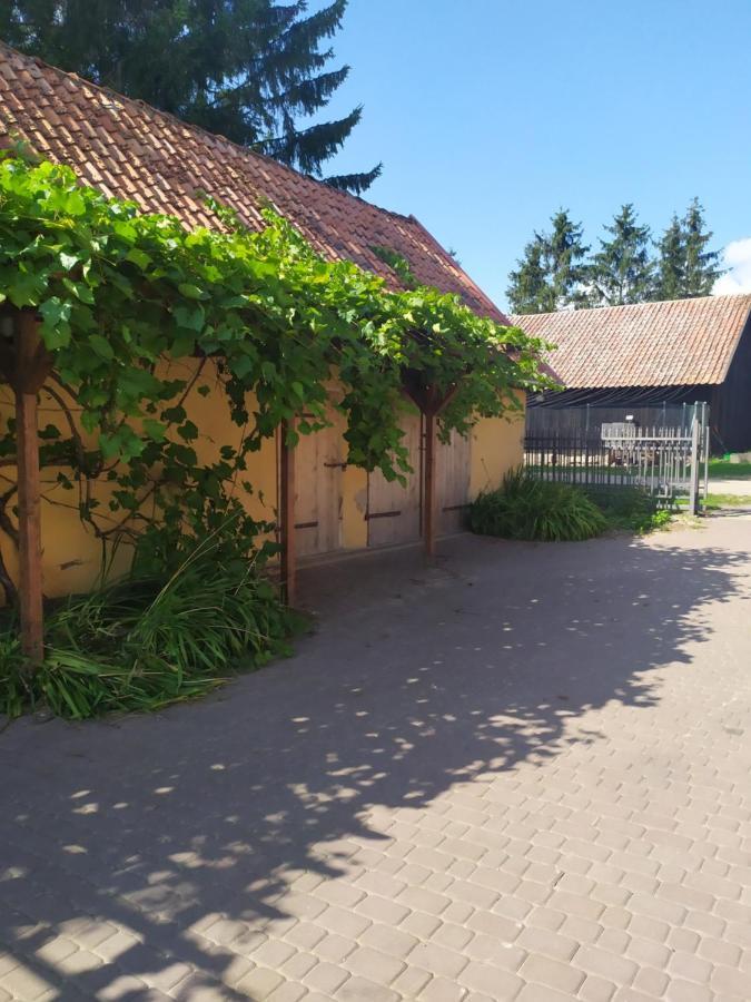 Domek Na Wzgorzu Blanki Лидзбарк-Варминьский Экстерьер фото